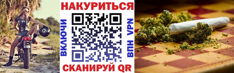 Канабис OG Kush  где можно купить наркотик  Новотитаровская 